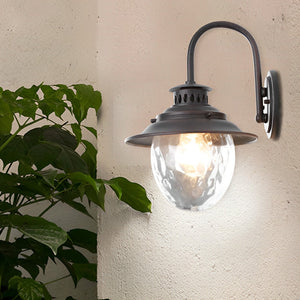 Cire Gooseneck Egg Outdoor Wall Light - Vorrenne