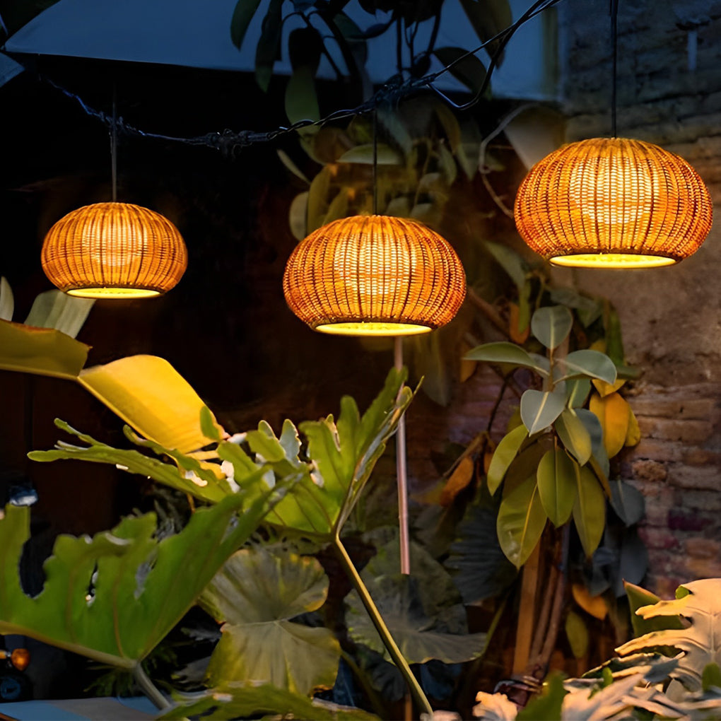 Fezi Dome Outdoor Pendant Light - Vorrenne